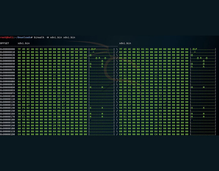 Analisi di un firmware