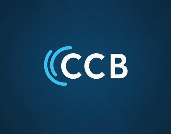 Cyber Capacity Building (CCB)