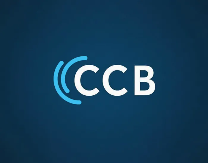 Cyber Capacity Building (CCB)