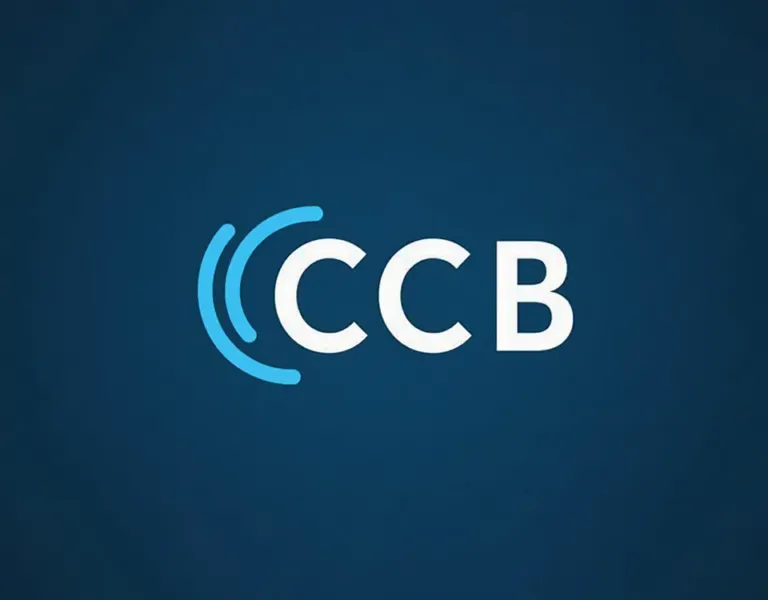 Cyber Capacity Building (CCB)