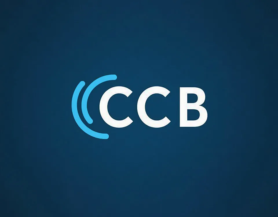 Cyber Capacity Building (CCB)