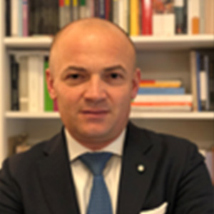 Mirko-Lapi
