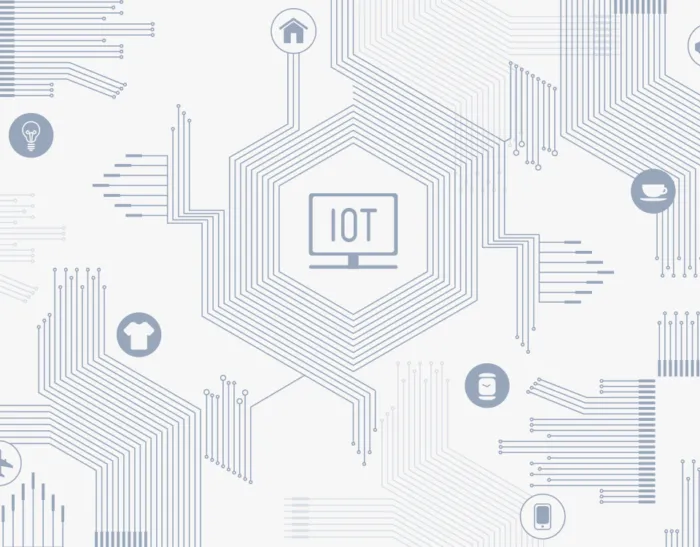 Penetration test: superficie d'attacco per un dispositivo IoT, evidenziando le componenti critiche e le potenziali vulnerabilità nella rete e nelle comunicazioni.
