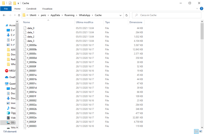 Contenuto della directory Cache di WhatsApp Desktop