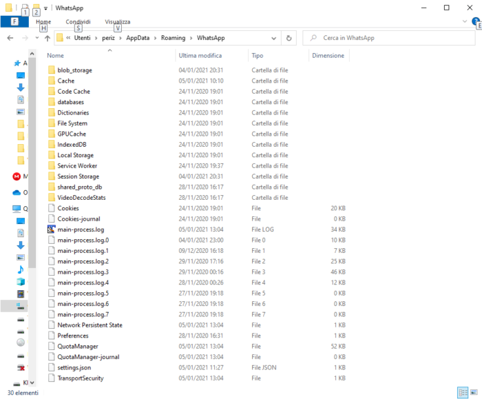 Contenuto tipico della cartella del profilo WhatsApp Desktop