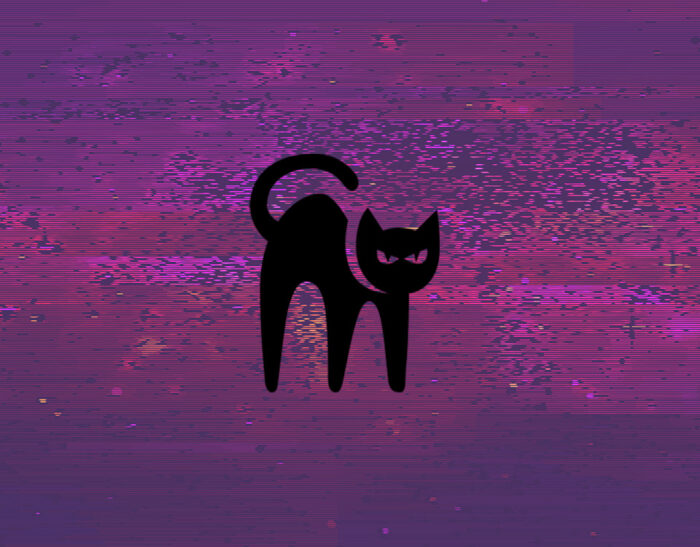 BlackCat: conosciamo meglio questo ransomware
