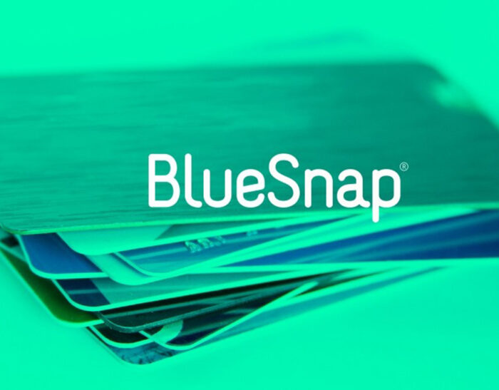 Il furto di oltre 340.000 records finanziari ai danni di BlueSnap è reale