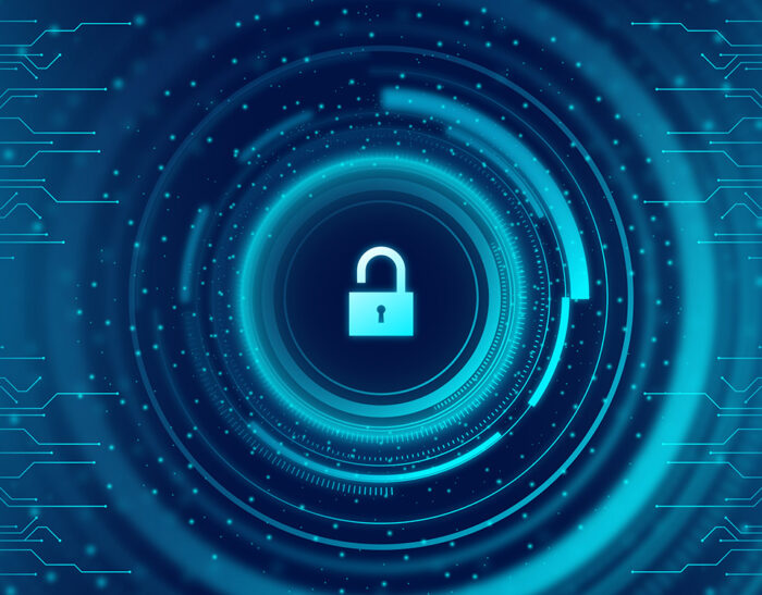Ddl Cybersicurezza: Verso un Futuro più Sicuro attraverso Normative Rafforzate, Resilienza delle PA e Gestione Trasparente degli Incidenti