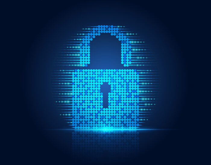 DDL Cybersicurezza Italia: rafforzamento sicurezza nazionale, modifiche Codice Penale, sanzioni reati informatici, obblighi PA, protezione dati, resilienza digitale