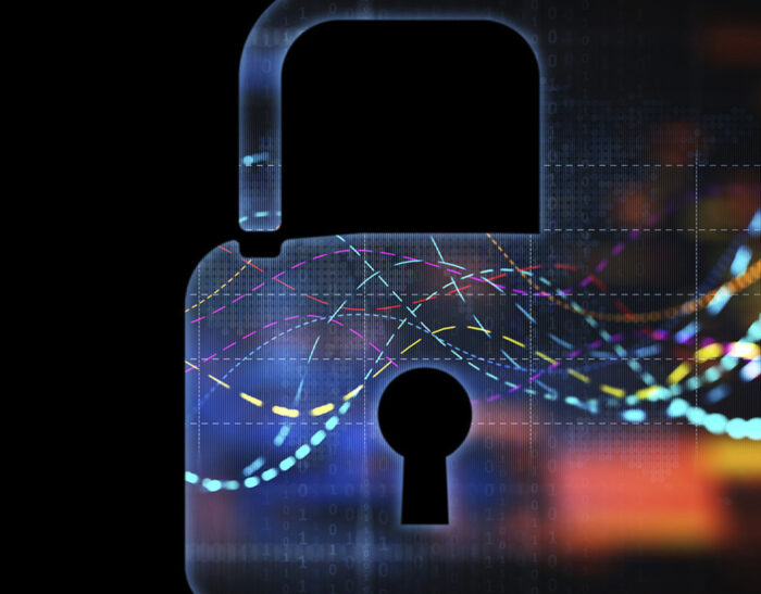 Domain Name System (DNS) e Security Extensions (DNSSEC): alcuni aspetti di Privacy e Sicurezza – Parte 1