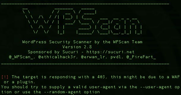 Interfaccia di configurazione di WPscan, un tool di penetration testing, utilizzato per eseguire test di sicurezza su applicazioni web. La schermata presenta una serie di opzioni e impostazioni che l'utente può selezionare per personalizzare la scansione.