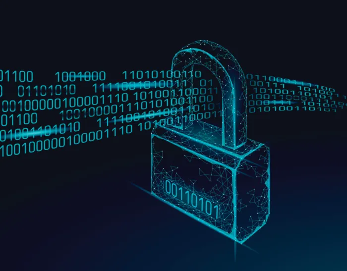 sicurezza del codice
