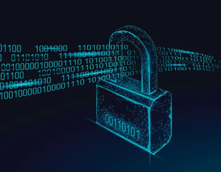 sicurezza del codice