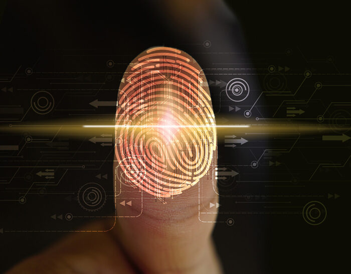 Infografica che illustra le principali novità del Decreto Semplificazioni 2020 in materia di digitalizzazione della PA, identità digitale e accesso ai servizi online.